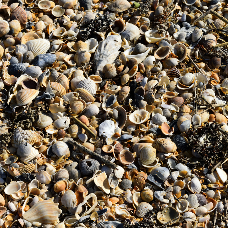 5 Driveway Designs to Drive Up Your Homes Value